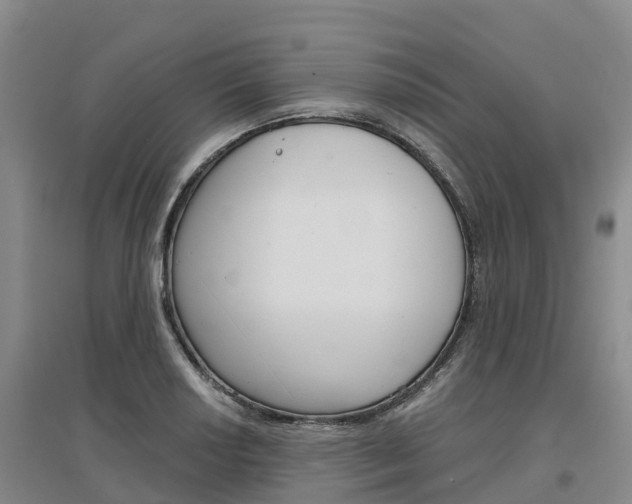 X0000097471034200802220824