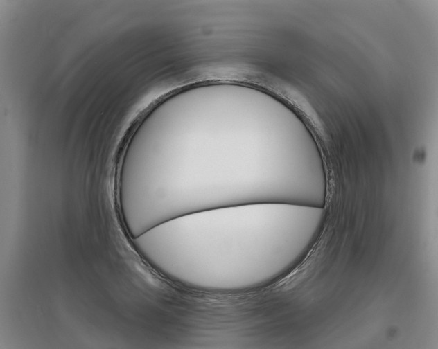 X0000097471035200802220824