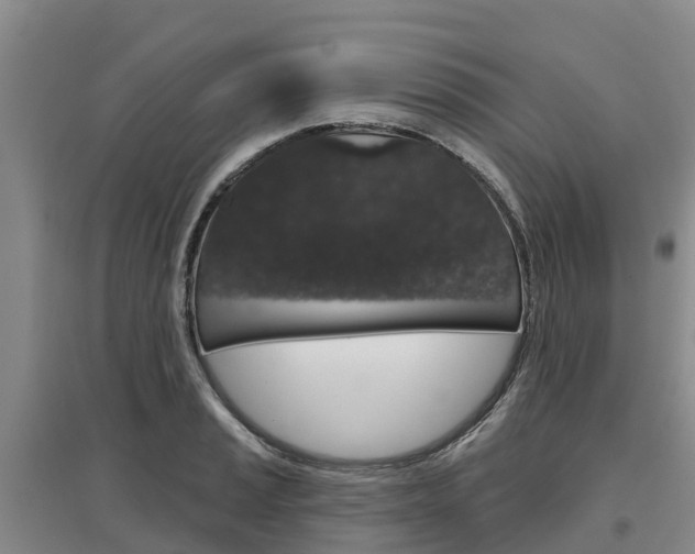 X0000097471037200802220825