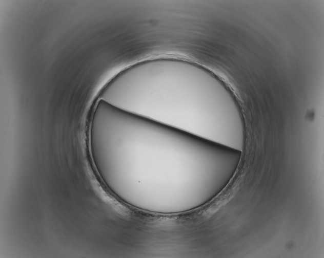 X0000097471038200802220825