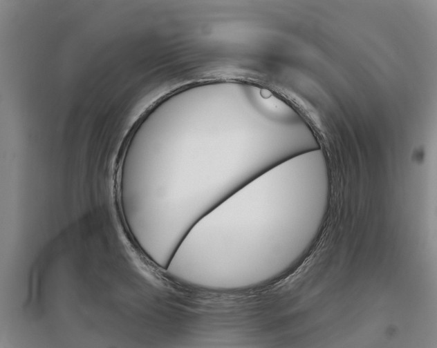 X0000097471039200802220825