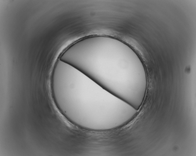 X0000097471040200802220825