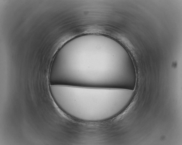 X0000097471041200802220825