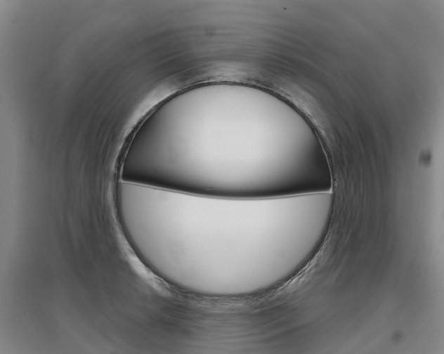 X0000097471042200802220825