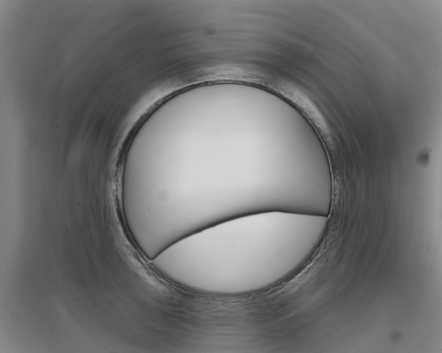 X0000097471043200802220825