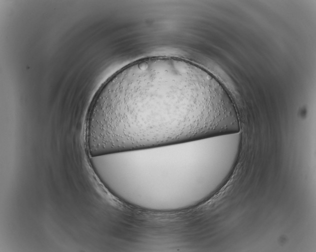 X0000097471044200802220825