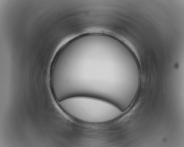 X0000097471045200802220825