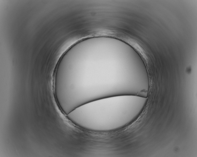 X0000097471047200802220825
