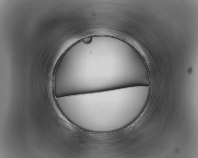 X0000097471048200802220825