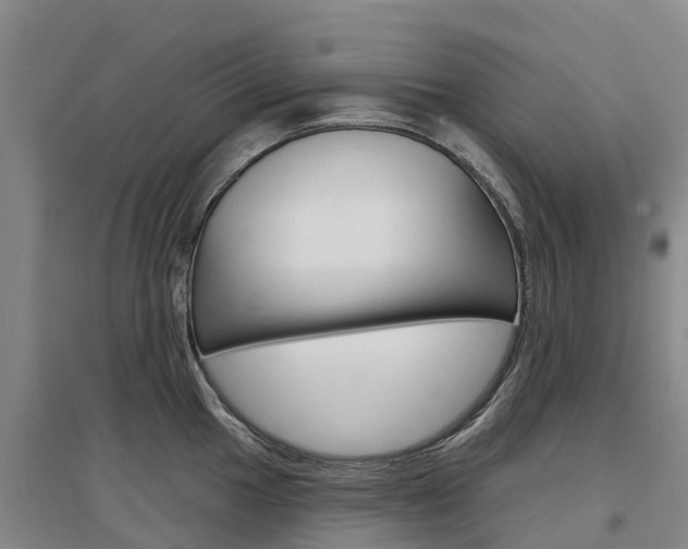 X0000097471049200802220825
