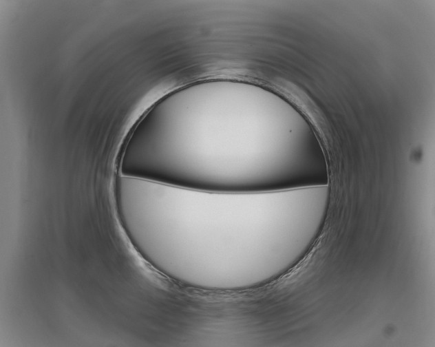 X0000097471050200802220825