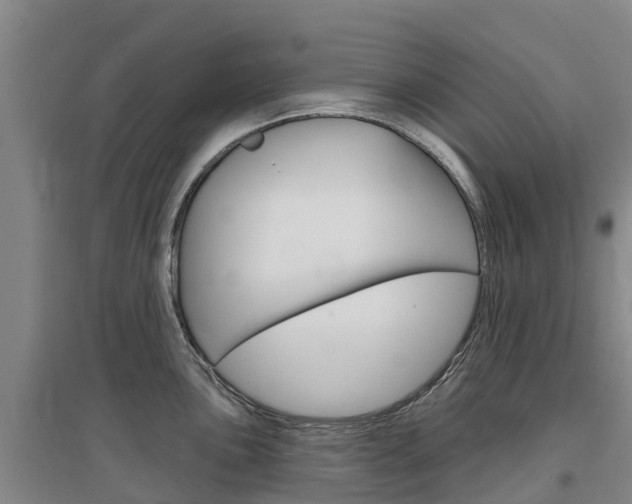 X0000097471051200802220825