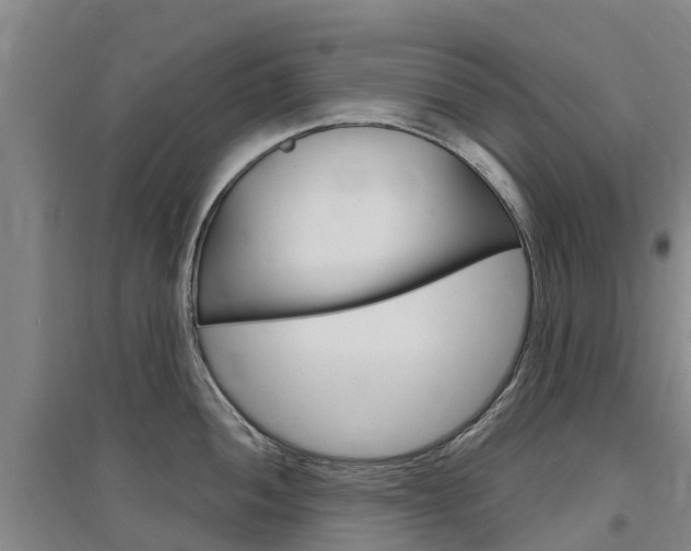 X0000097471052200802220825