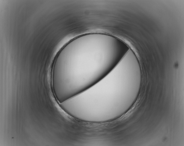 X0000097471054200802220825