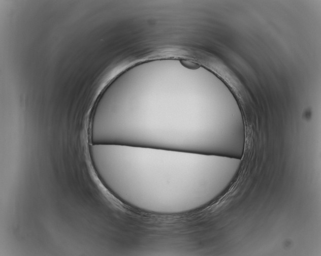 X0000097471055200802220825
