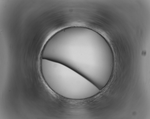 X0000097471056200802220825