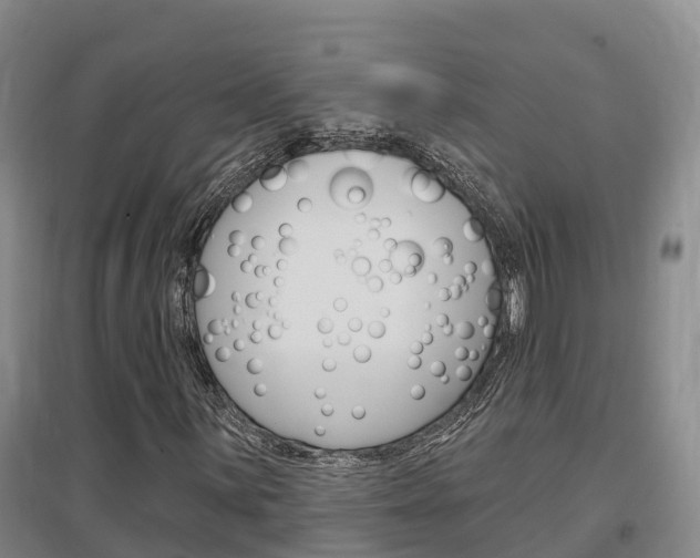 X0000097471059200802220824