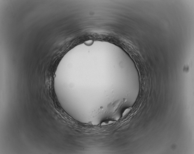 X0000097471061200802220824