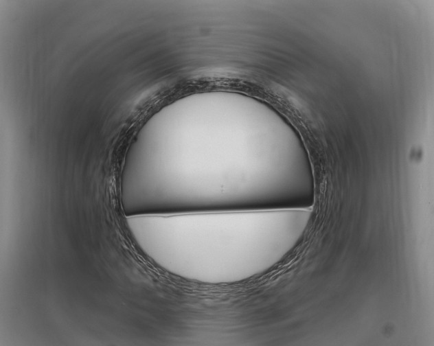 X0000097471062200802220824