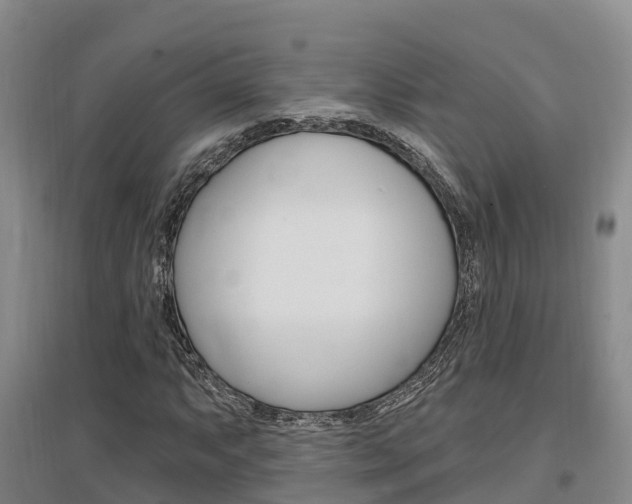 X0000097471063200802220824