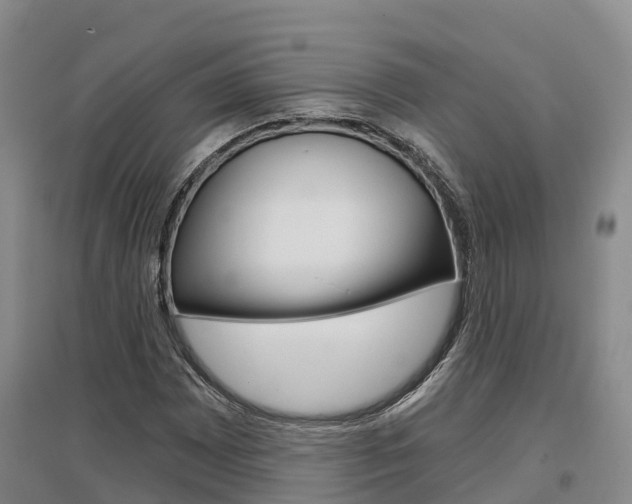 X0000097471065200802220824