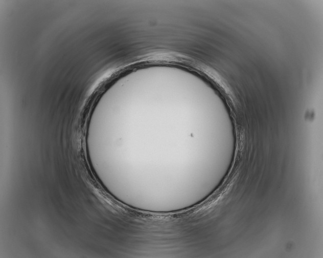 X0000097471067200802220824