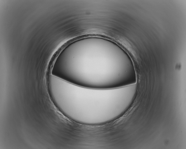 X0000097471068200802220824