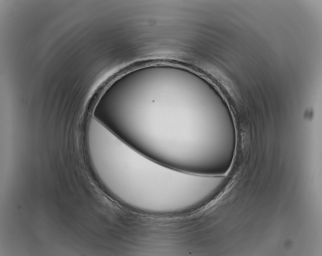 X0000097471069200802220824