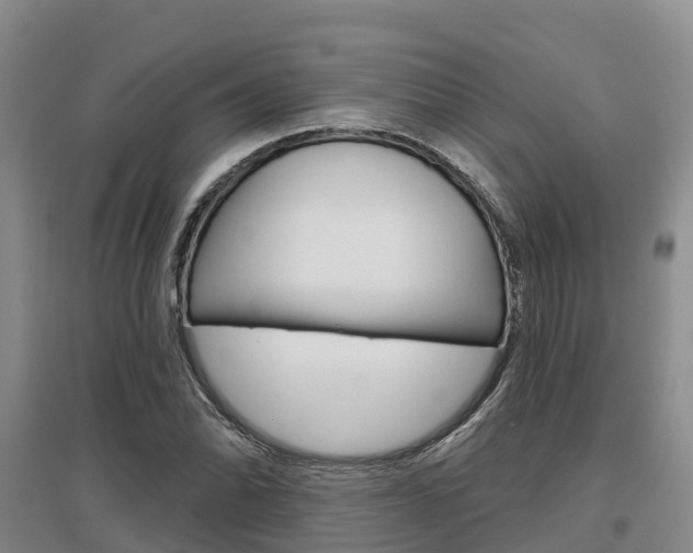 X0000097471070200802220824
