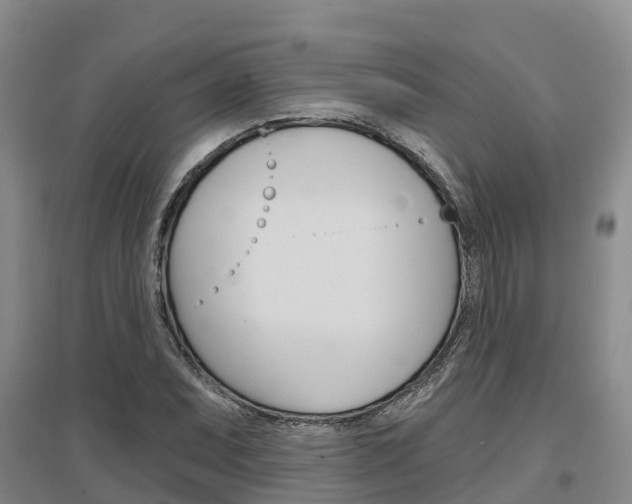 X0000097471071200802220824