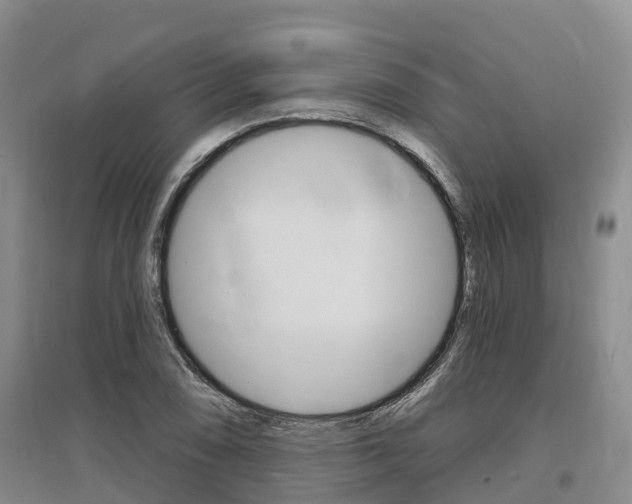 X0000097471074200802220824