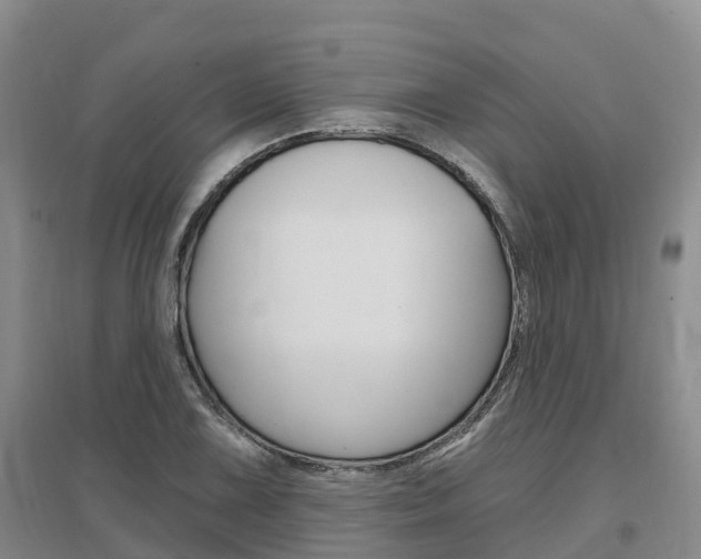 X0000097471075200802220824
