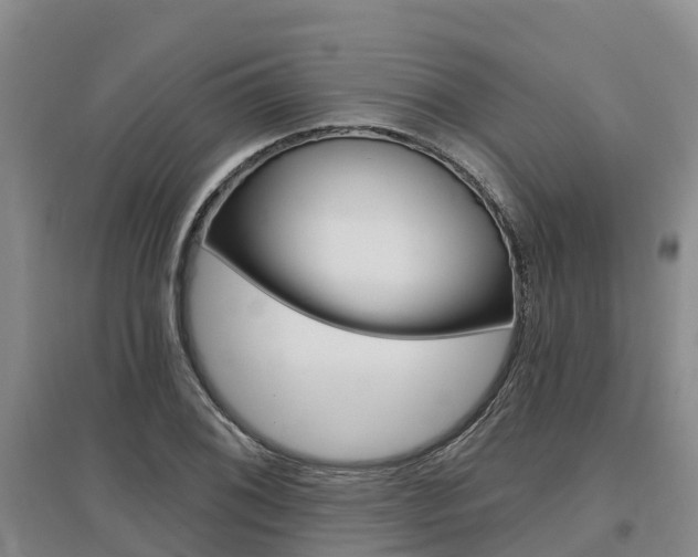 X0000097471076200802220824