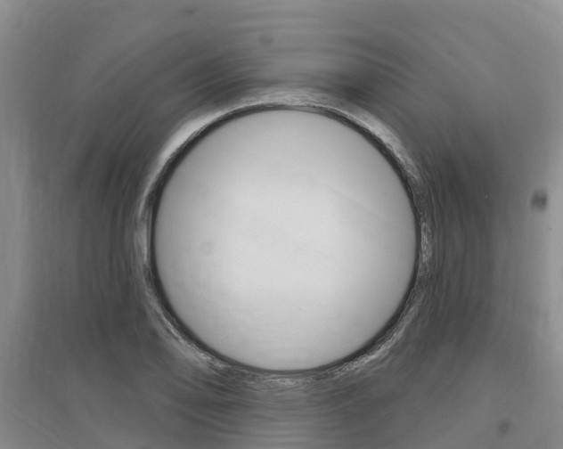 X0000097471078200802220824