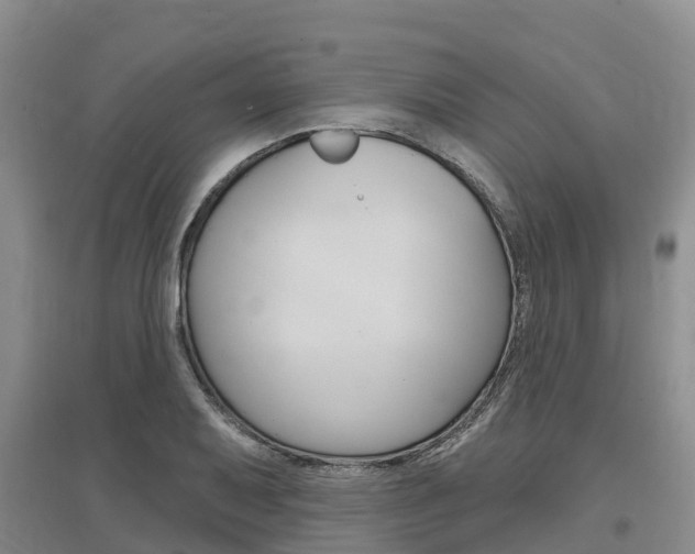 X0000097471079200802220824
