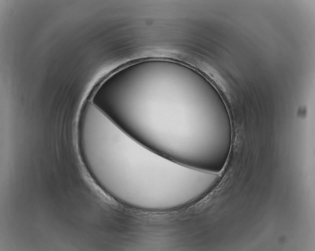 X0000097471080200802220824