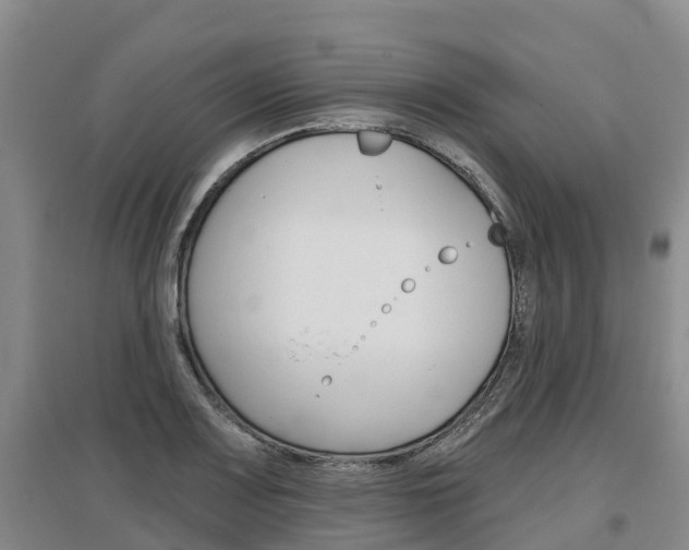 X0000097471083200802220824
