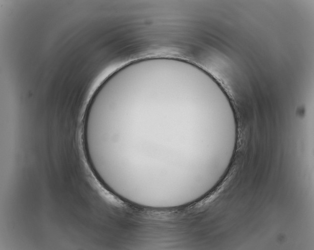 X0000097471086200802220824
