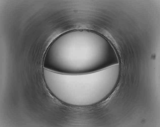 X0000097471089200802220824