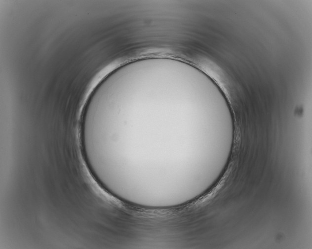 X0000097471090200802220824