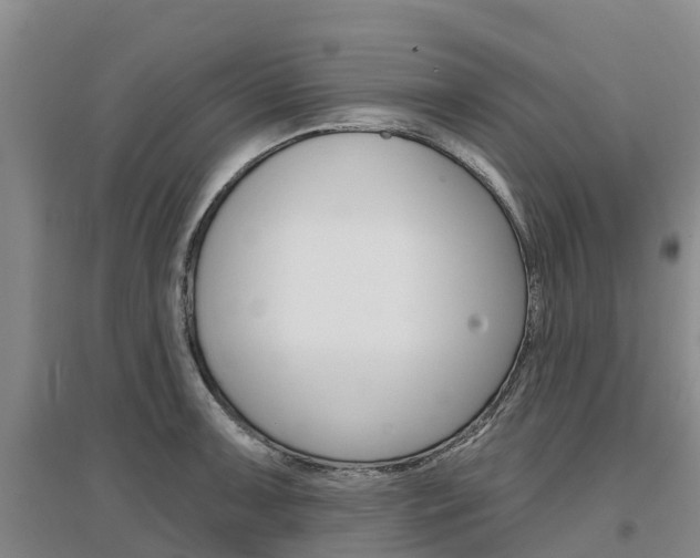 X0000097471091200802220824