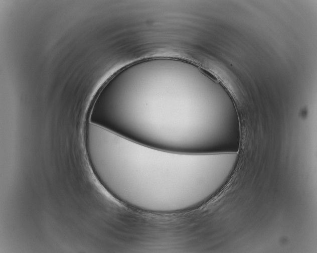 X0000097471092200802220824