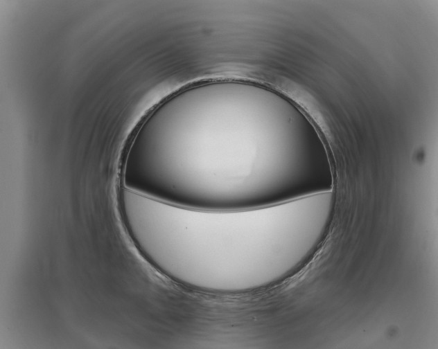 X0000097471093200802220824