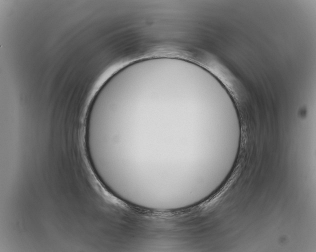 X0000097471094200802220824