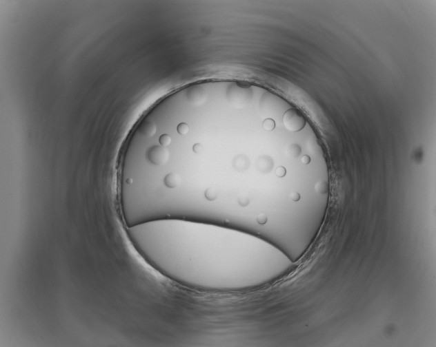 X0000097471095200802220824