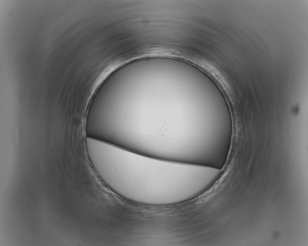 X0000097471097200802220824