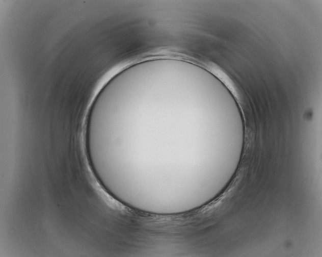 X0000097471098200802220824