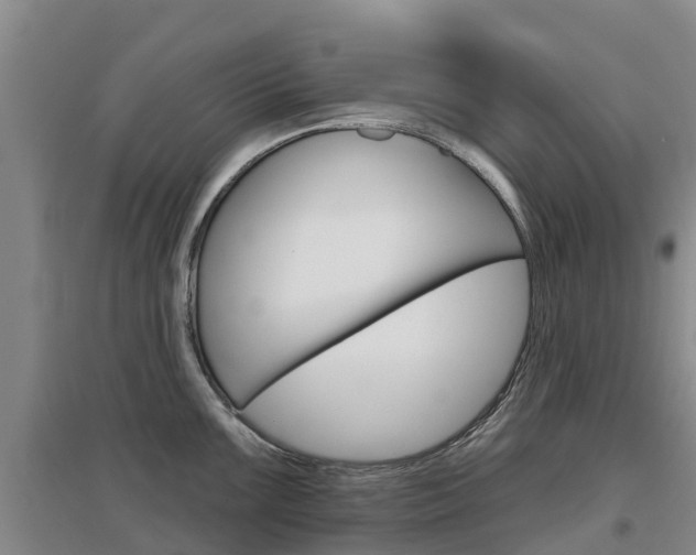X0000097471099200802220824