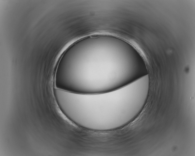 X0000097471100200802220824