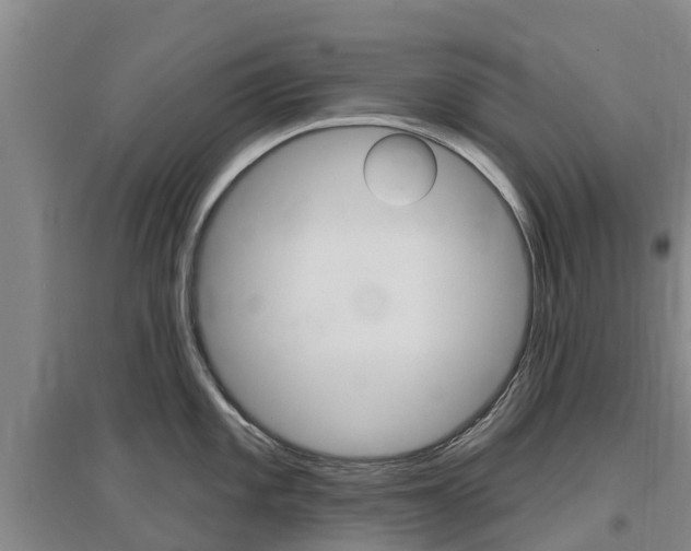 X0000097471101200802220824